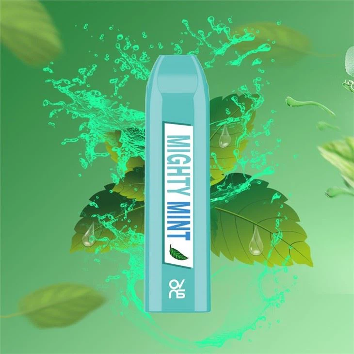 Real 500 Puffs Pen Style Disposable Vaporizer Vape Pen Electronic Cigarette Real 500 Puffs Pen Style Disposable Vaporizer Vape Pen Electronic Cigarette