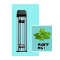 50mg Disposable Vape 4500 Puffs