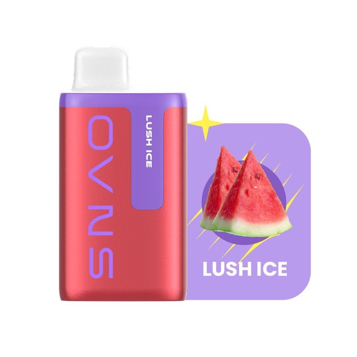 2024 Canada Hot-selling 10000 Puffs Dispoasble Vape 2024 Canada Hot-selling 10000 Puffs Dispoasble Vape