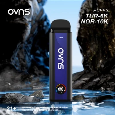 10k Puff 10000 Puffs Disposable Vape OEM